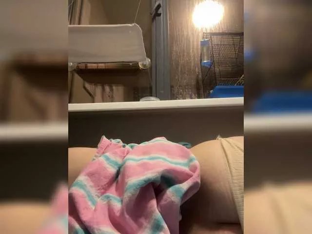 Offline Foxy27 on BongaCams