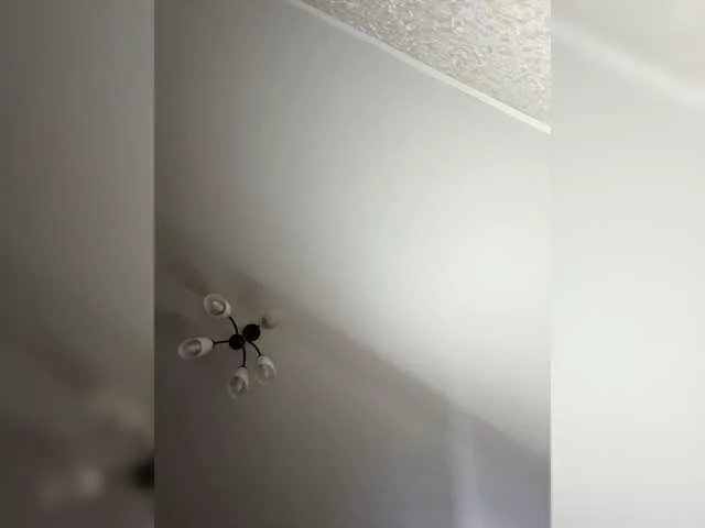 Offline HellMor on BongaCams