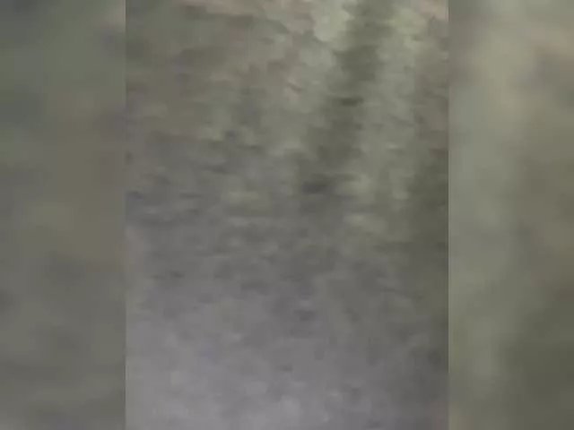 Offline MaddisonWelch on BongaCams