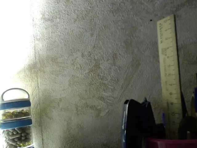 Offline Margo77-1 on BongaCams