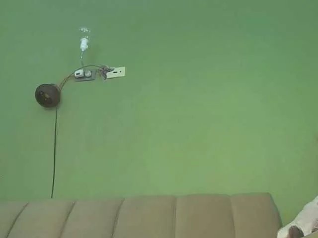 Offline MsPurrfect on BongaCams