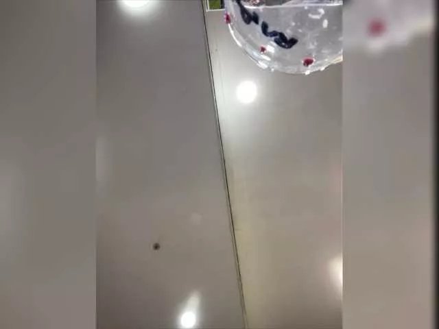 Freechat PrettyKatea on BongaCams