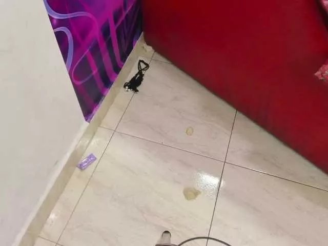 Offline room-kitty on BongaCams