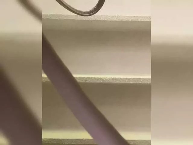 Freechat SallyeLeins on BongaCams