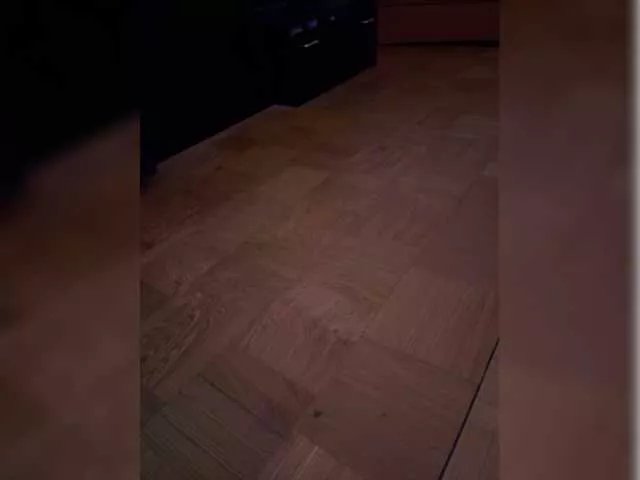 Offline XaSeen on BongaCams