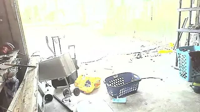 Freechat Buffshagswell on StripChat