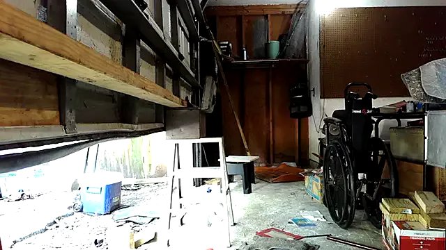 Freechat Buffshagswell on StripChat