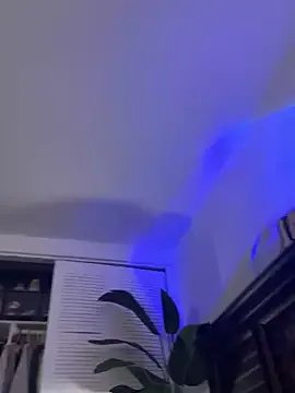 Freechat DallasAria on StripChat