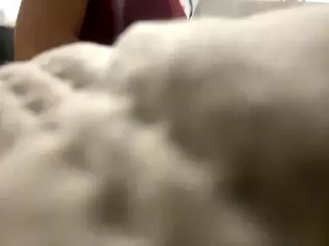 Freechat FerrariFrench on StripChat