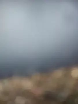 Freechat Roddog18 on StripChat