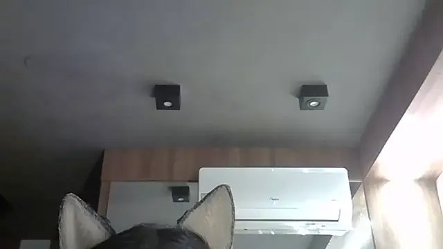 Freechat SkinnyKitten on StripChat