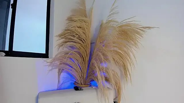 Freechat Thiago_Connor21 on StripChat